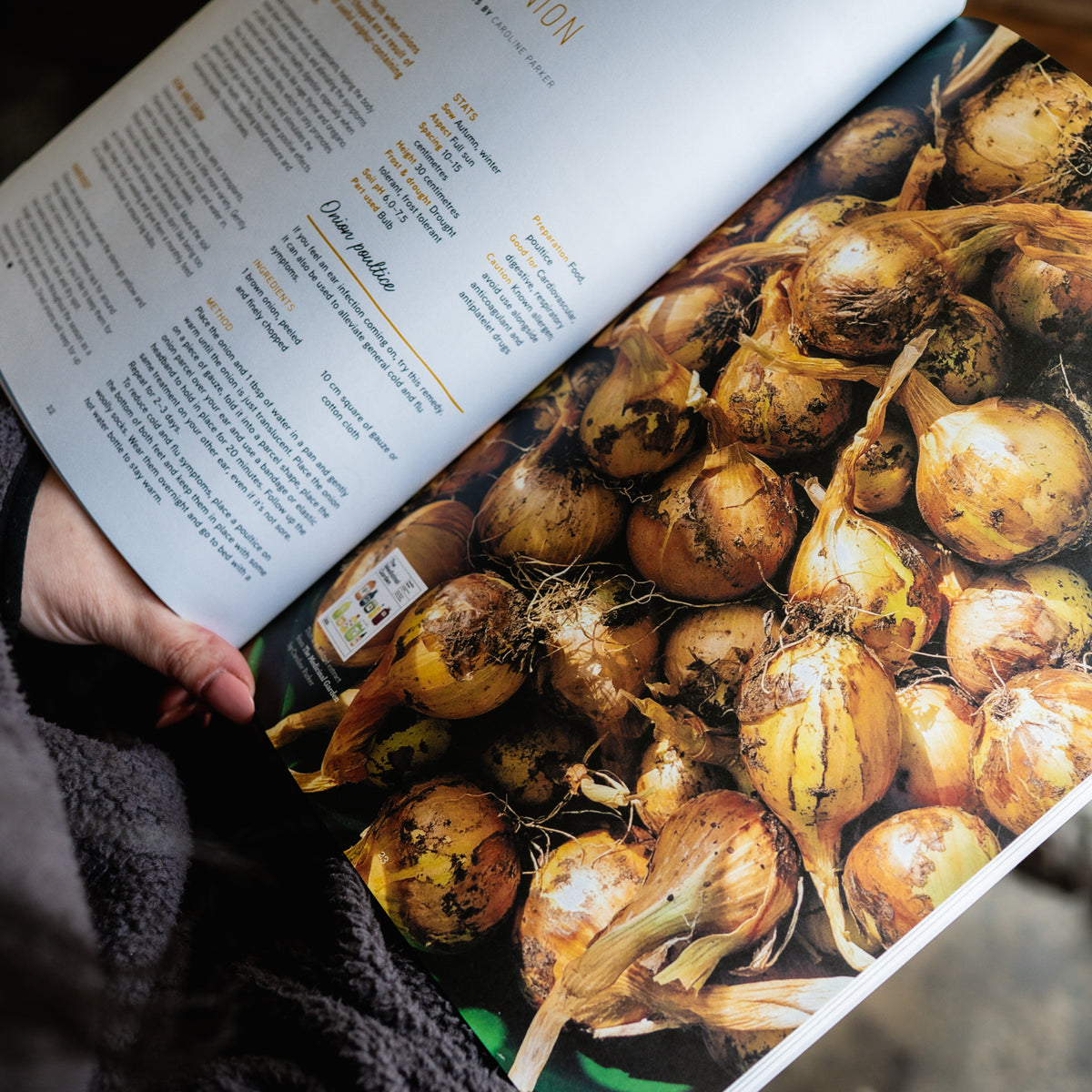 Pip Magazine Issue 40