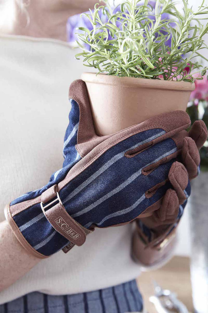 Everyday Gloves Ticking | Sophie Conran | Miss Arthur | Home Goods | Tasmania