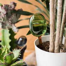 Amabro Two Tone Glass Water Dispenser Small Green Amber | Amabro | Miss Arthur | Home Goods | Tasmania