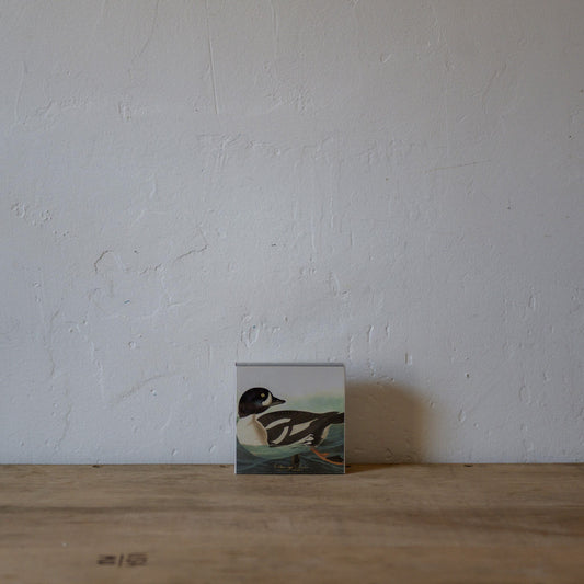 Archivist Luxury Matches The Golden-Eye Duck by Audubon | Archivist | Miss Arthur | Home Goods | Tasmania