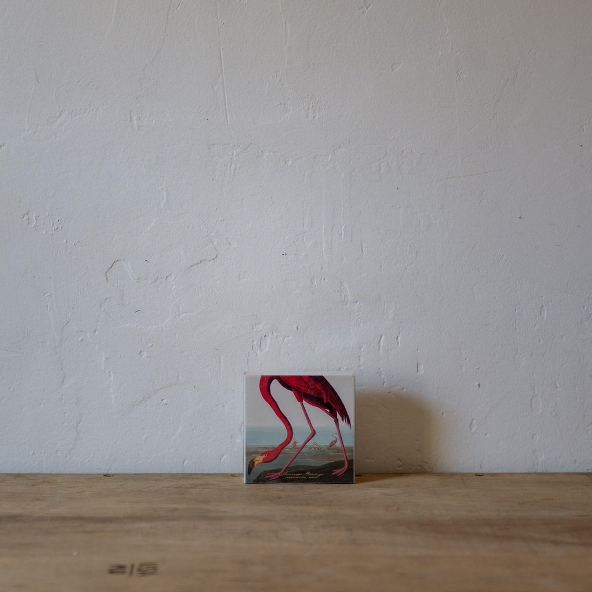 Archivist Luxury Matches The American Flamingo by Audubon | Archivist | Miss Arthur | Home Goods | Tasmania