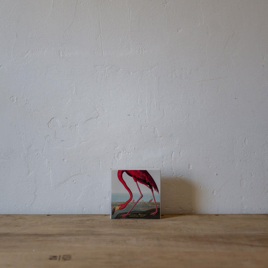 Archivist Luxury Matches The American Flamingo by Audubon | Archivist | Miss Arthur | Home Goods | Tasmania