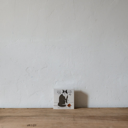 Archivist Luxury Matches I Do It Because I Can | Archivist | Miss Arthur | Home Goods | Tasmania