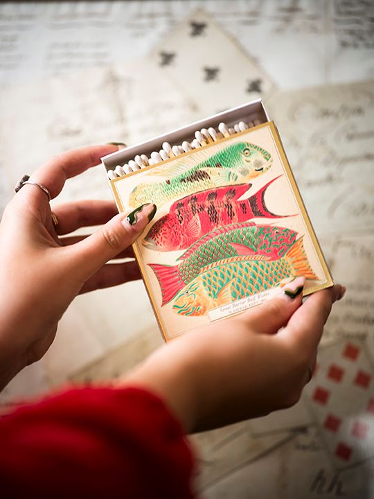 Archivist Luxury Matches Natural History Museum Fish | Archivist | Miss Arthur | Home Goods | Tasmania