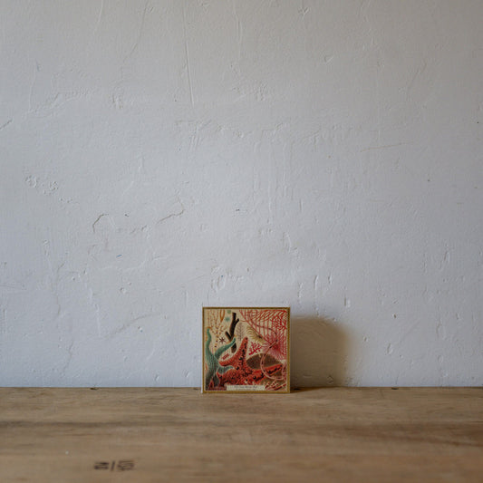 Archivist Luxury Matches Natural History Museum Great Barrier Reef | Archivist | Miss Arthur | Home Goods | Tasmania
