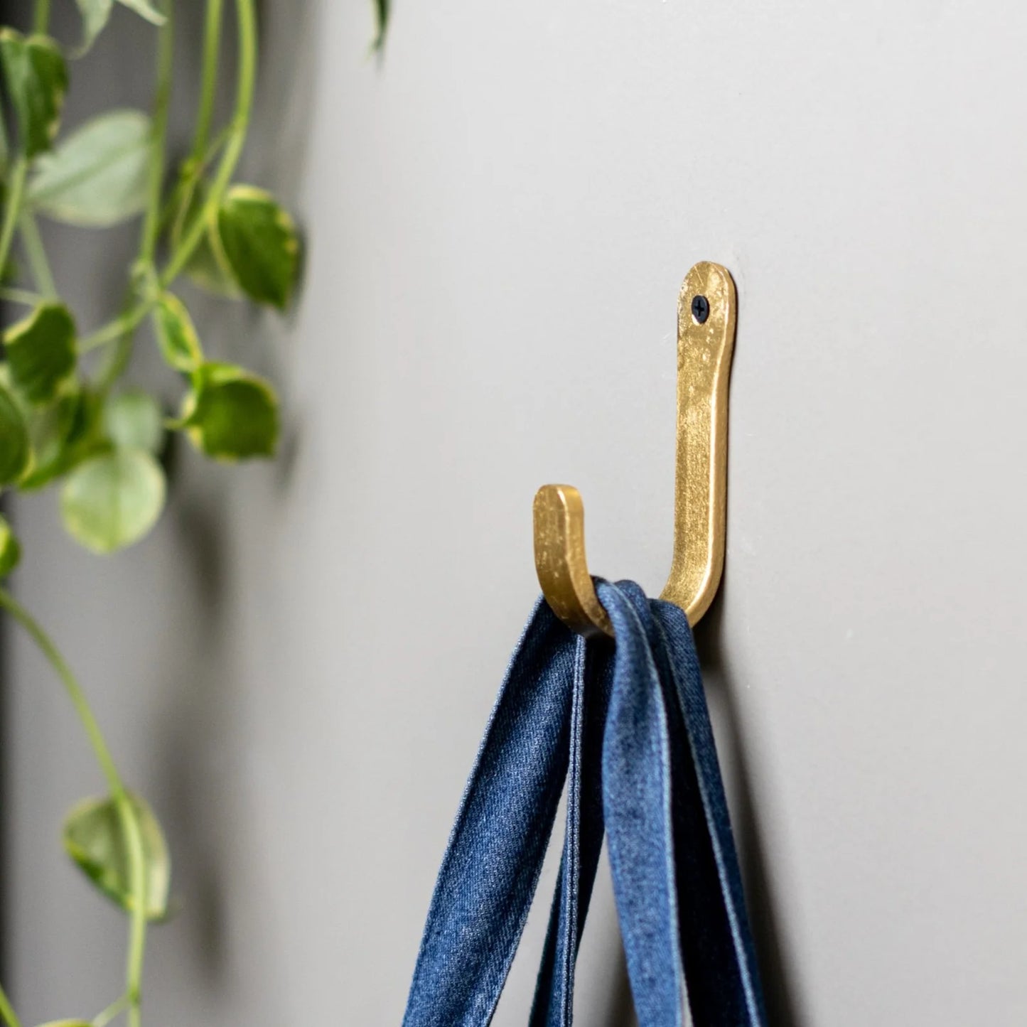 Brut Coat Hook Round Brass | Brut | Miss Arthur | Home Goods | Tasmania