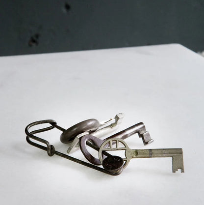 Brut Laundry Pin Wire Style | Brut | Miss Arthur | Home Goods | Tasmania