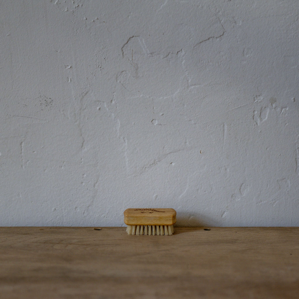 Childrens Dinosaur Nail Brush | Kellerbursten | Miss Arthur | Home Goods | Tasmania