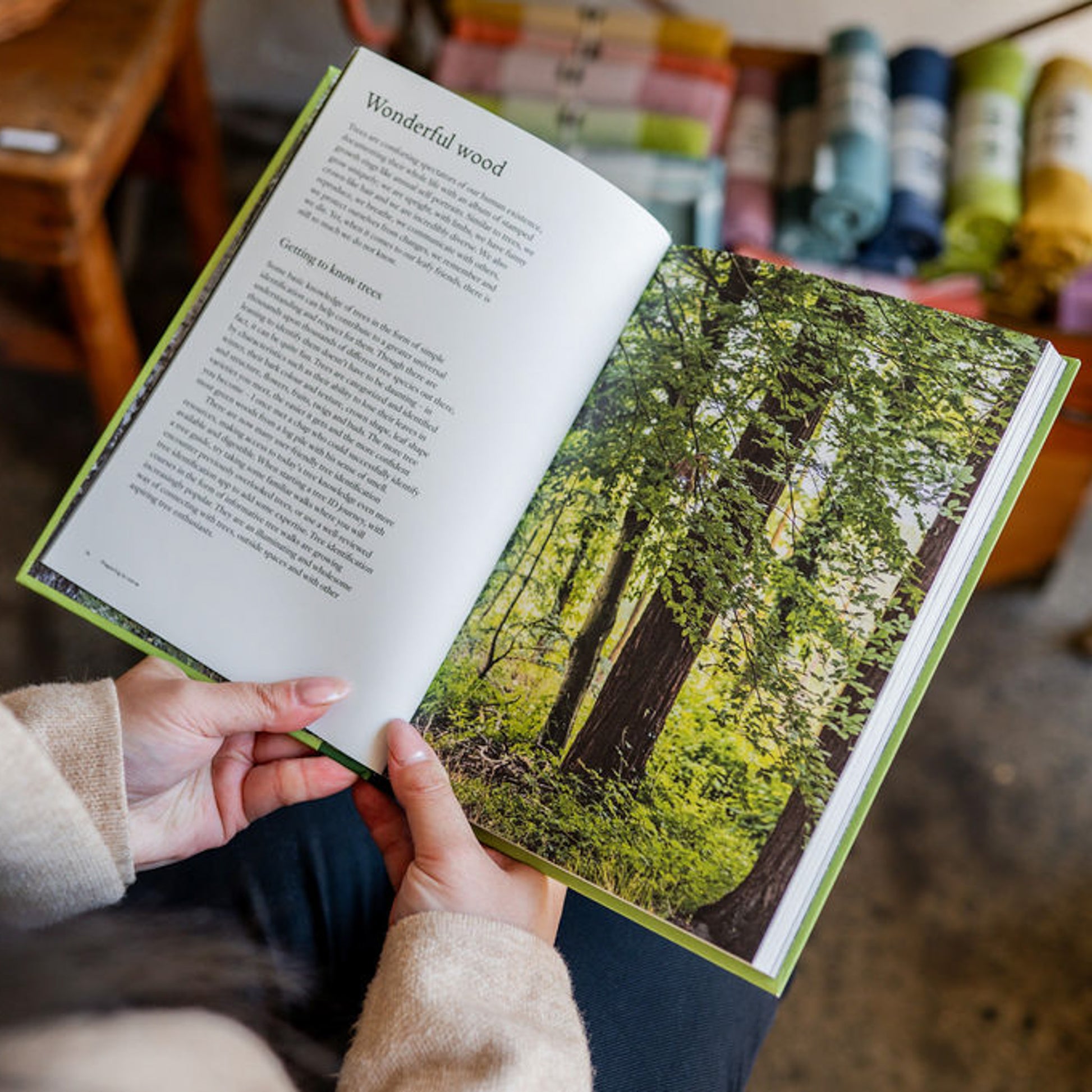 The Green Wood Carver | TDLC | Miss Arthur | Home Goods | Tasmania