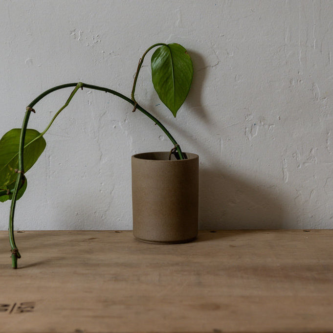 Hasami Planter 85mm Natural HP044 | Hasami | Miss Arthur | Home Goods | Tasmania