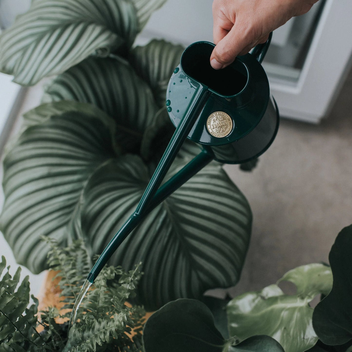 Haws The Fazeley Flow 1 Litre Green Watering Pot | Haws | Miss Arthur | Home Goods | Tasmania
