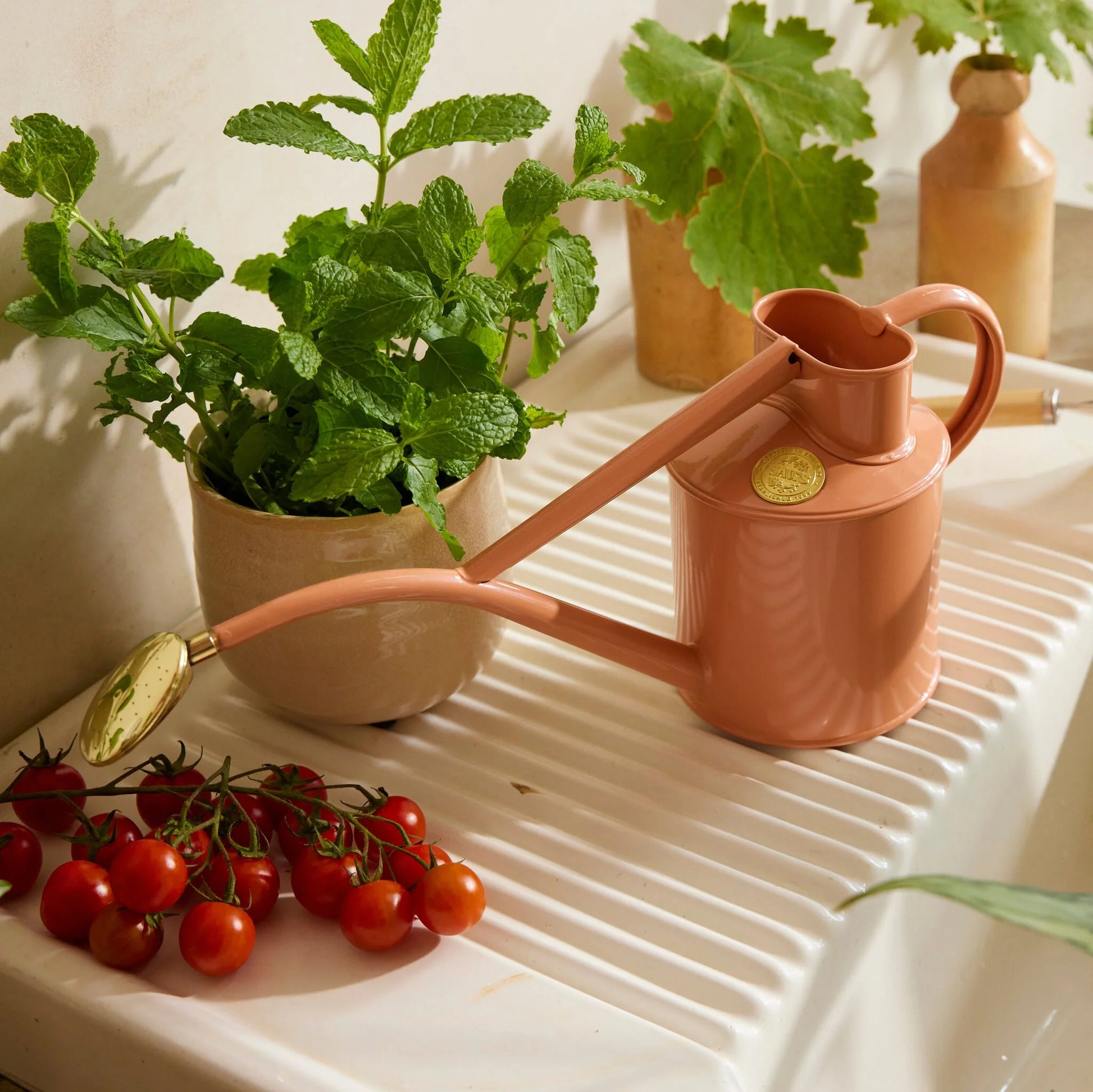 Haws Rowley Ripple 1 Litre Pink Clay Can | Haws | Miss Arthur | Home Goods | Tasmania