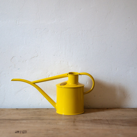 Haws The Fazeley Flow 1 Litre Lotus Yellow Watering Pot | Haws | Miss Arthur | Home Goods | Tasmania