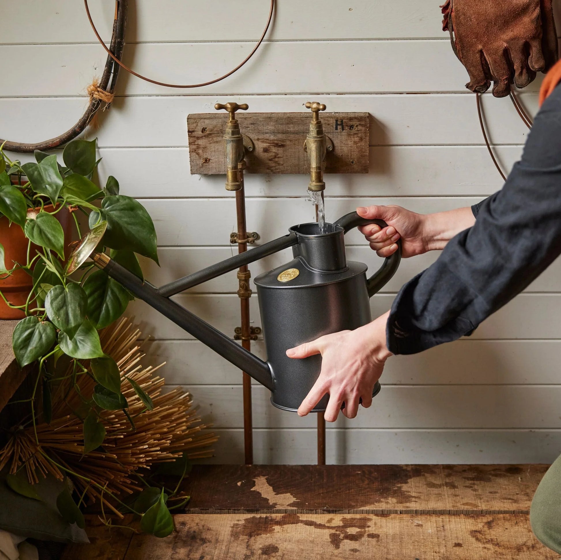 Haws The Bearwood Brook 4.5 Litre Graphite Can 198-1-GRA | Haws | Miss Arthur | Home Goods | Tasmania