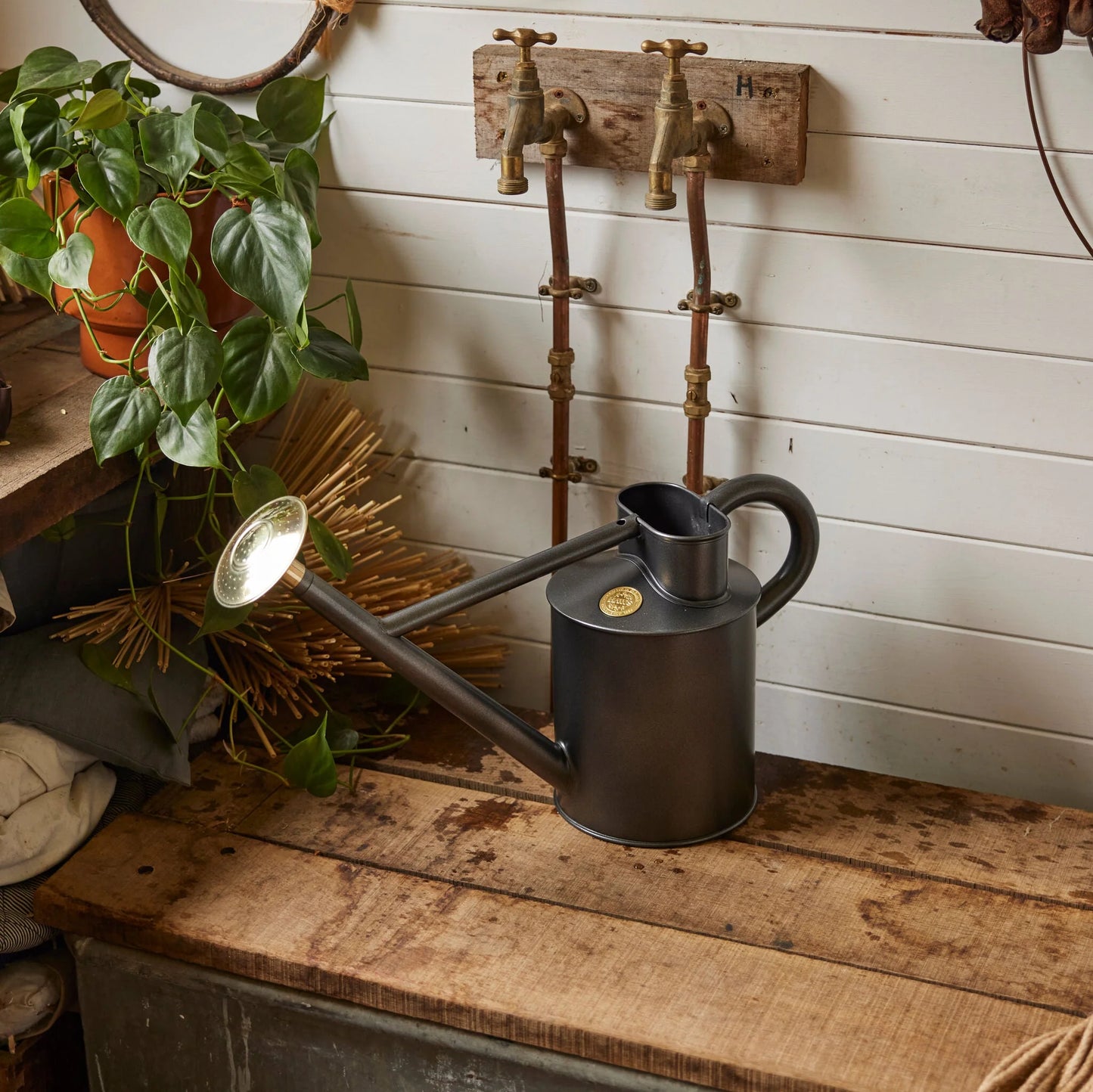 Haws The Bearwood Brook 4.5 Litre Graphite Can 198-1-GRA | Haws | Miss Arthur | Home Goods | Tasmania