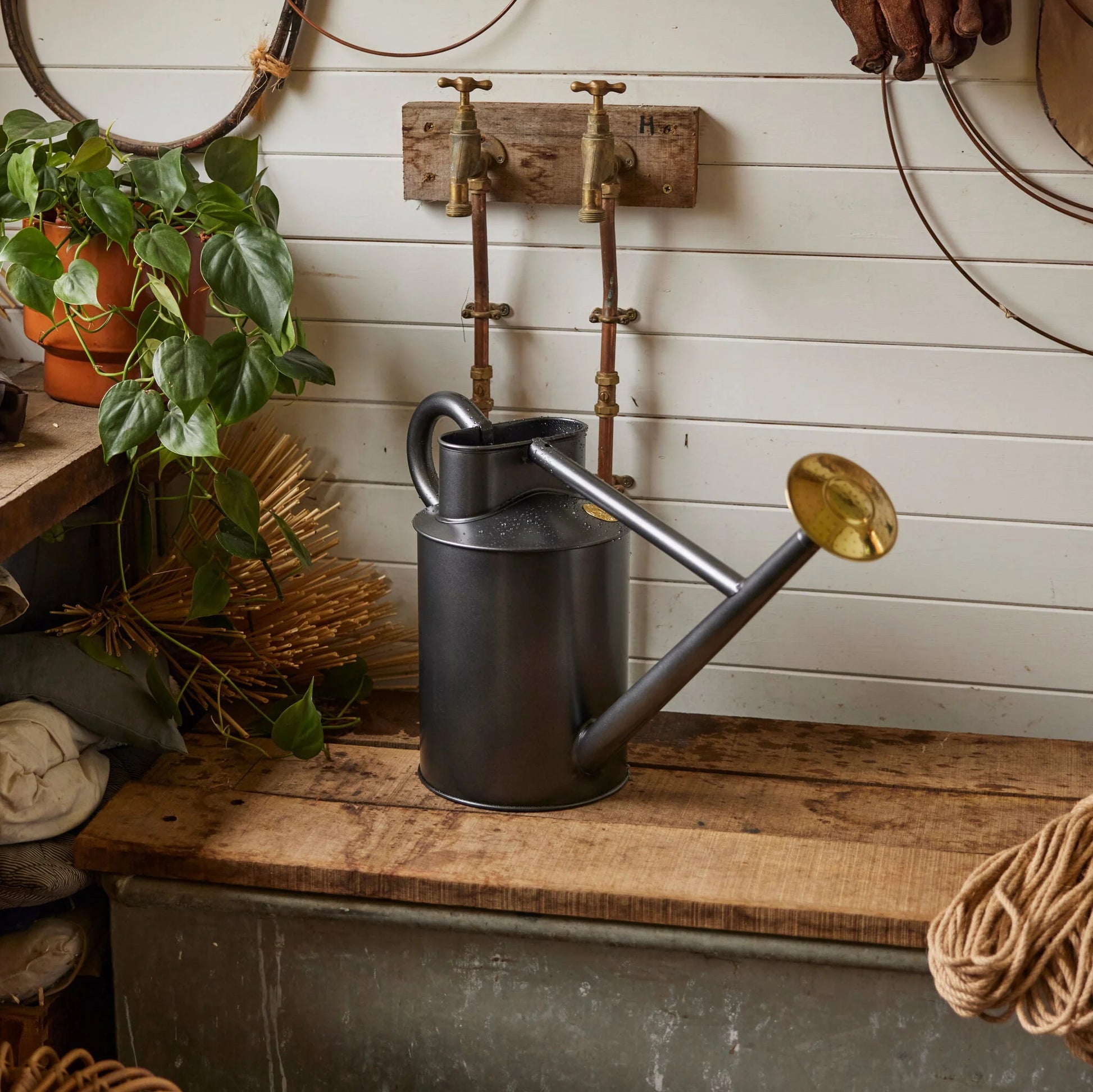 Haws The Bearwood Brook 9 Litre Graphite Can 198-2-GRA | Haws | Miss Arthur | Home Goods | Tasmania