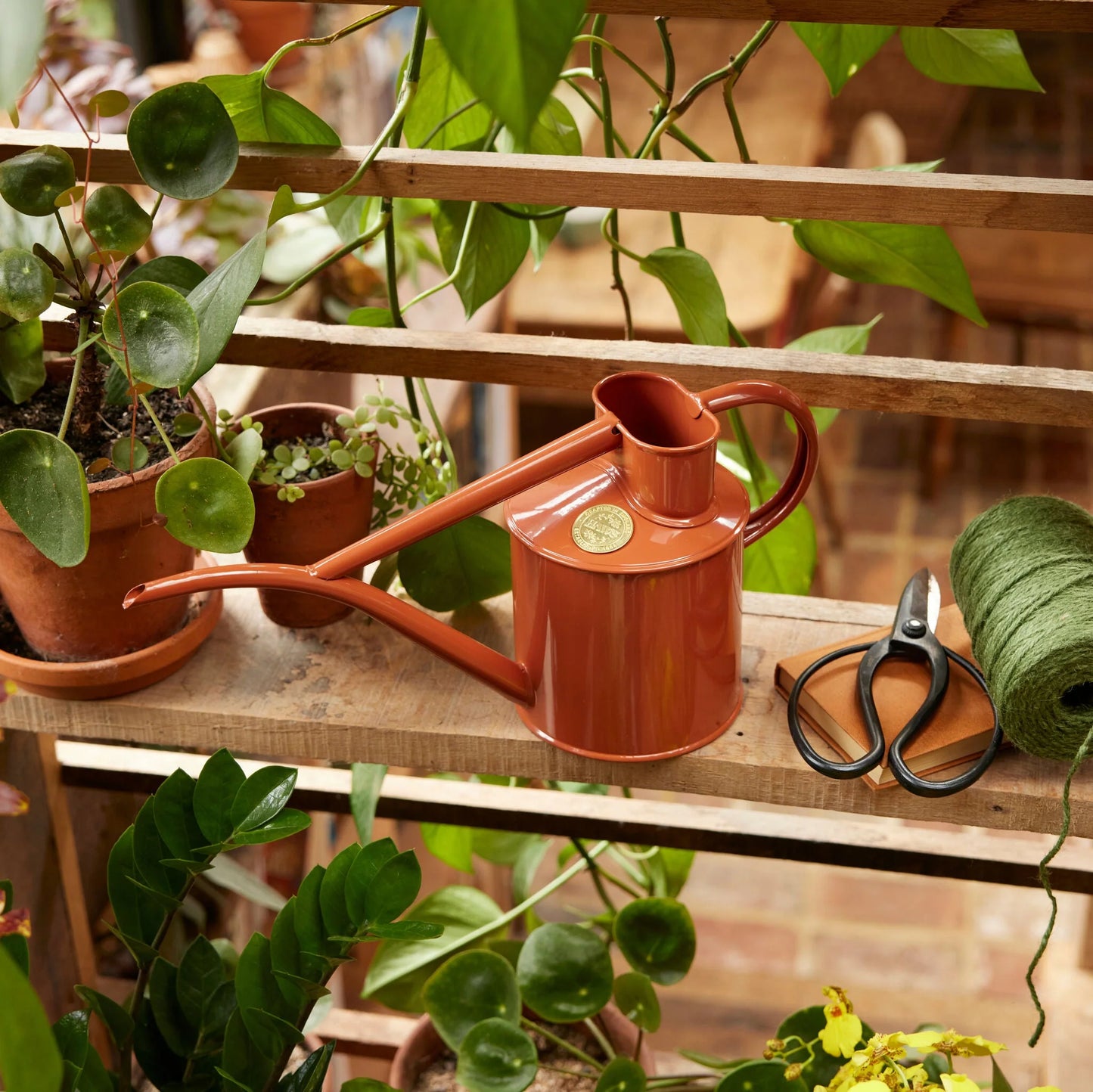 Haws The Fazeley Flow 1 Litre Terracotta Orange Watering Pot | Haws | Miss Arthur | Home Goods | Tasmania