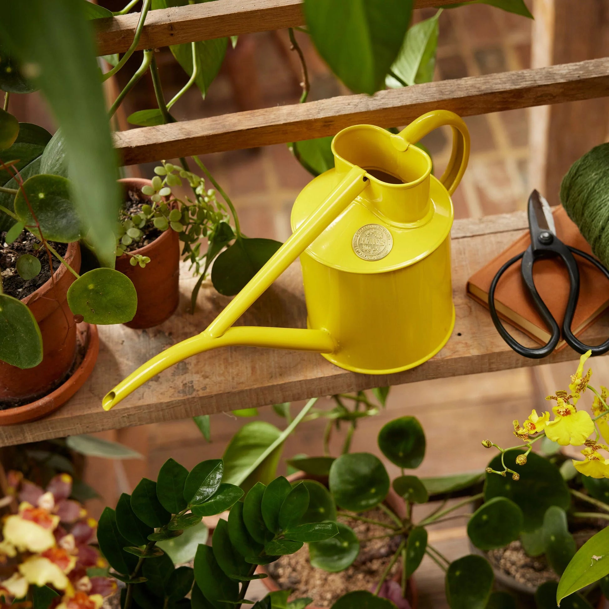 Haws The Fazeley Flow 1 Litre Lotus Yellow Watering Pot | Haws | Miss Arthur | Home Goods | Tasmania