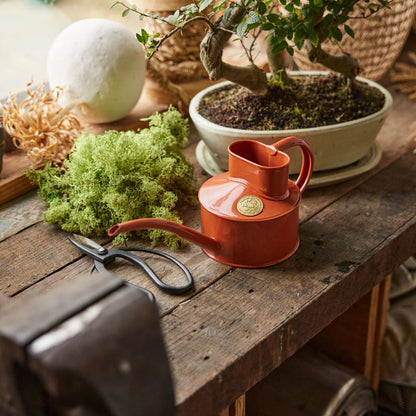 Haws The Fazeley Flow 0.5 Litre Terracotta Orange Watering Pot | Haws | Miss Arthur | Home Goods | Tasmania