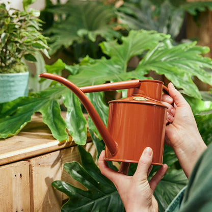 Haws The Fazeley Flow 1 Litre Terracotta Orange Watering Pot | Haws | Miss Arthur | Home Goods | Tasmania