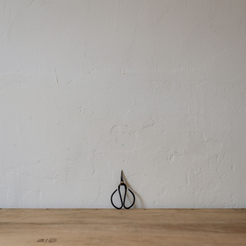 Nutscene Flower Scissors | Nutscene | Miss Arthur | Home Goods | Tasmania