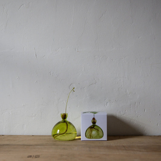 Ilex Studio Acorn Vase Grass Green | Ilex Studio | Miss Arthur | Home Goods | Tasmania