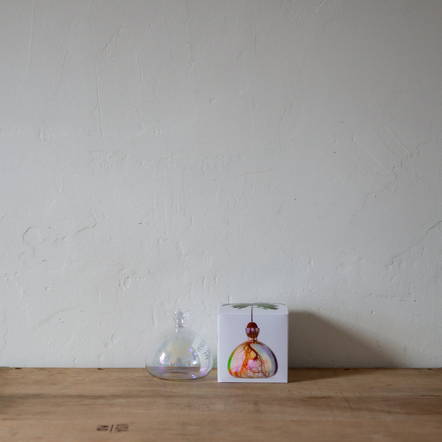 Ilex Studio Acorn Vase Cosmic | Ilex Studio | Miss Arthur | Home Goods | Tasmania