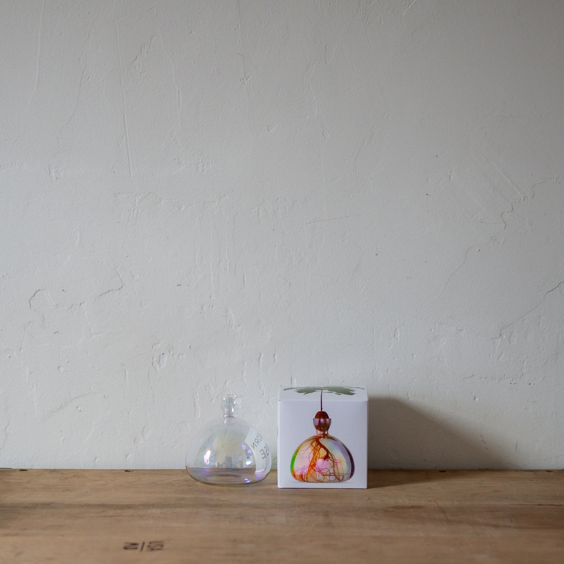 Ilex Studio Acorn Vase Cosmic | Ilex Studio | Miss Arthur | Home Goods | Tasmania