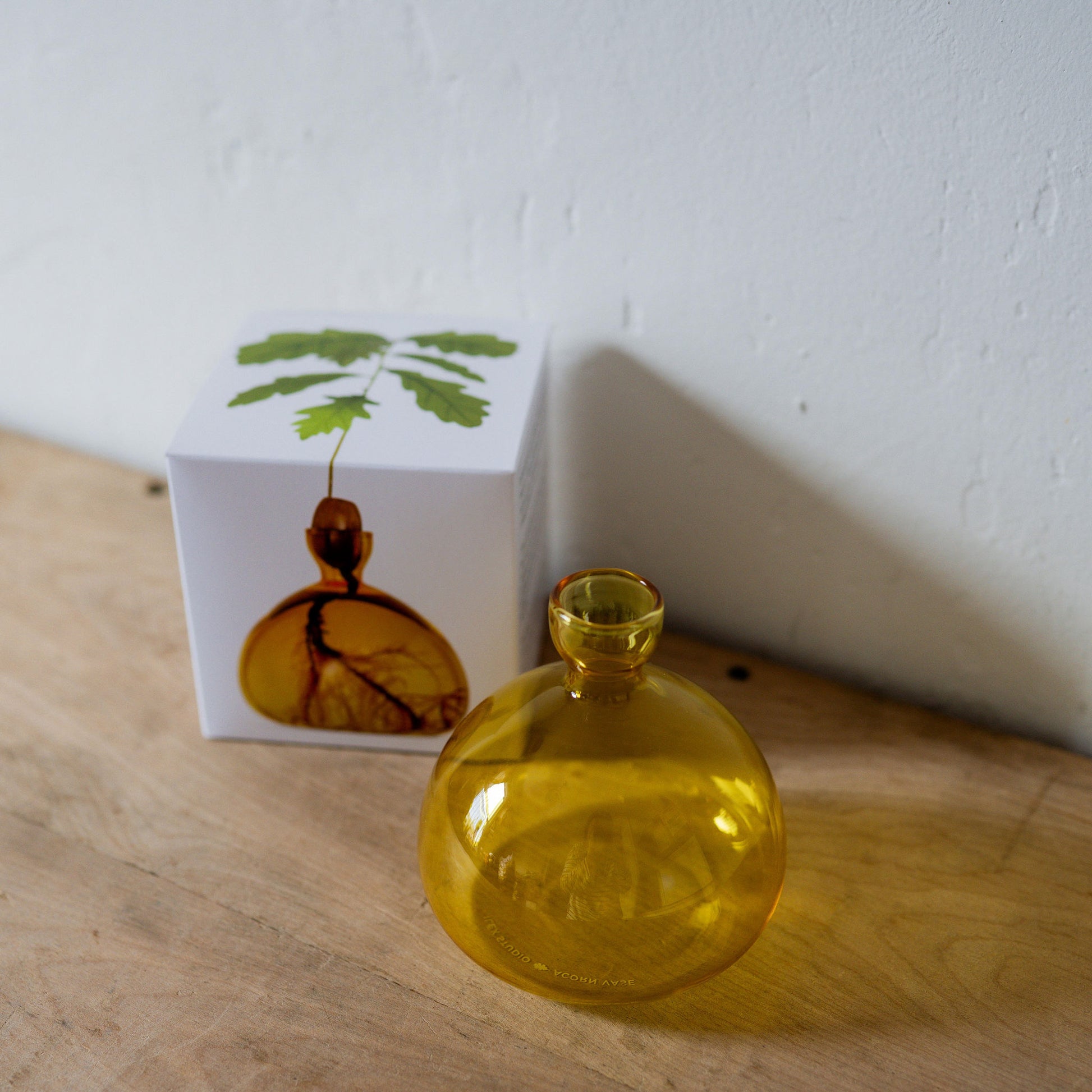 Ilex Studio Acorn Vase Mellow Yellow | Ilex Studio | Miss Arthur | Home Goods | Tasmania