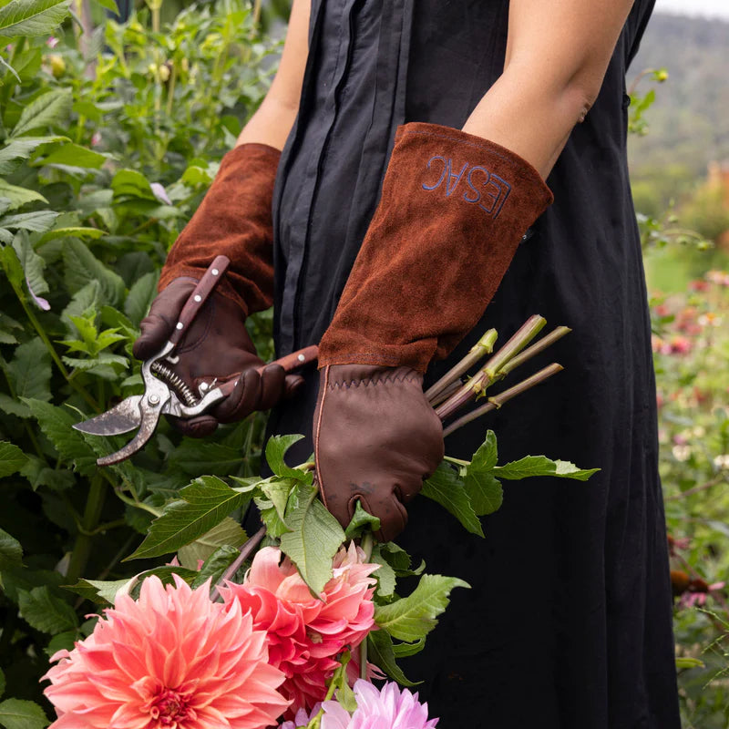 Le Sac Thorn Proof Gloves Small | Le Sac | Miss Arthur | Home Goods | Tasmania