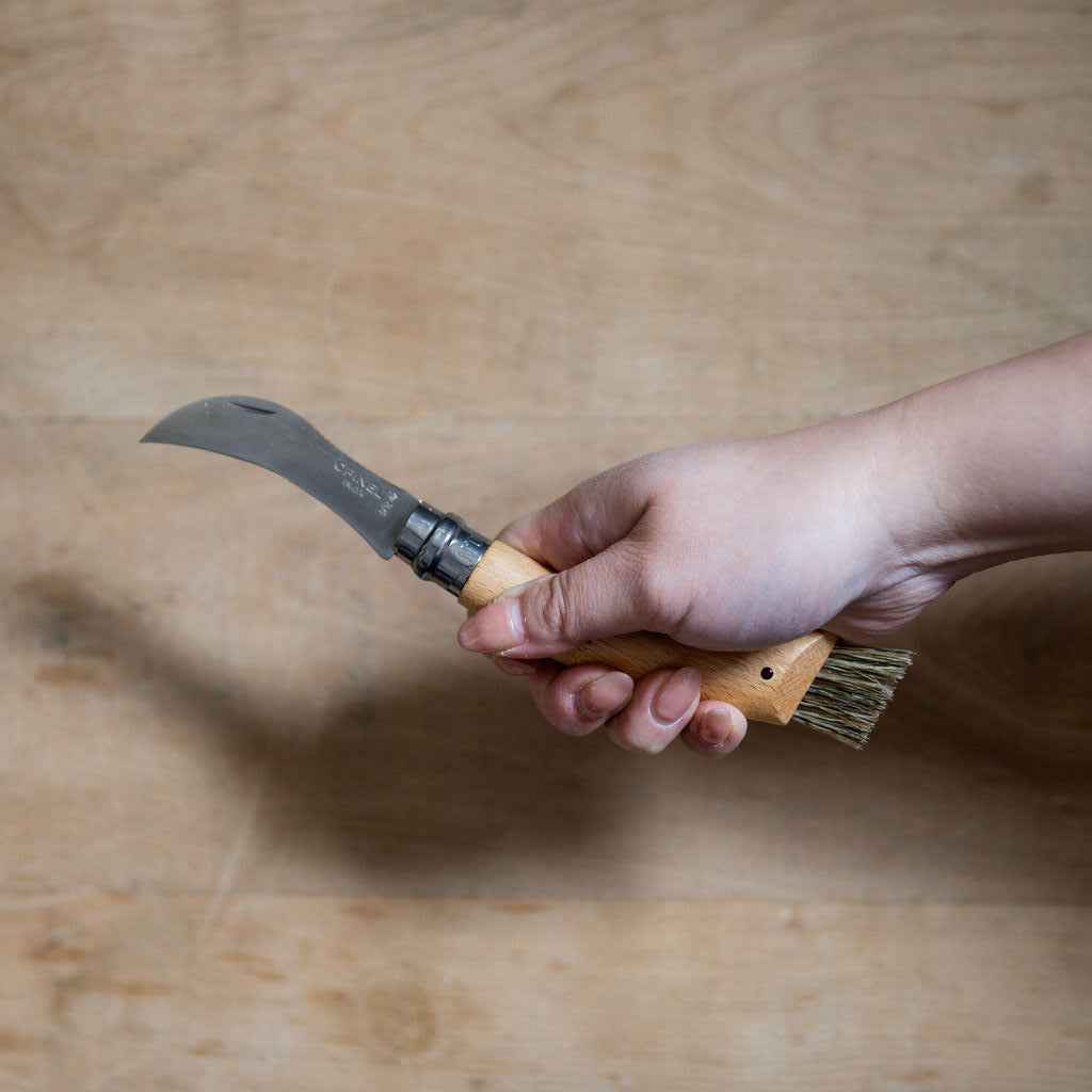 Opinel No.8 Mushroom Knife with Brush | Opinel | Miss Arthur | Home Goods | Tasmania