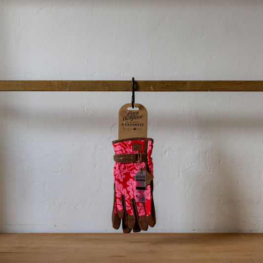 Burgon & Ball Love The Glove Oak Leaf Poppy M/L | Burgon & Ball | Miss Arthur | Home Goods | Tasmania