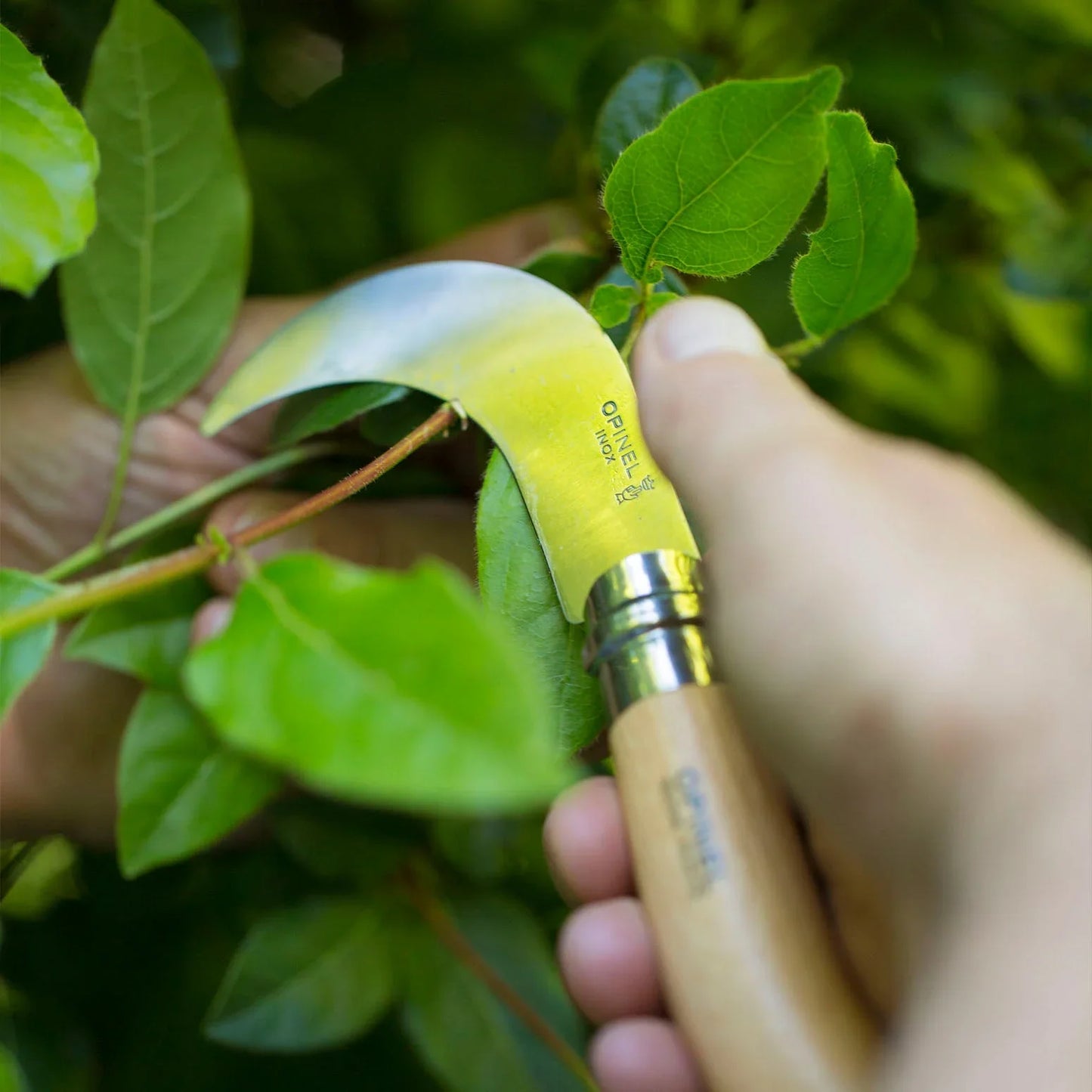 Opinel No.10 Pruning Folding Knife | Opinel | Miss Arthur | Home Goods | Tasmania