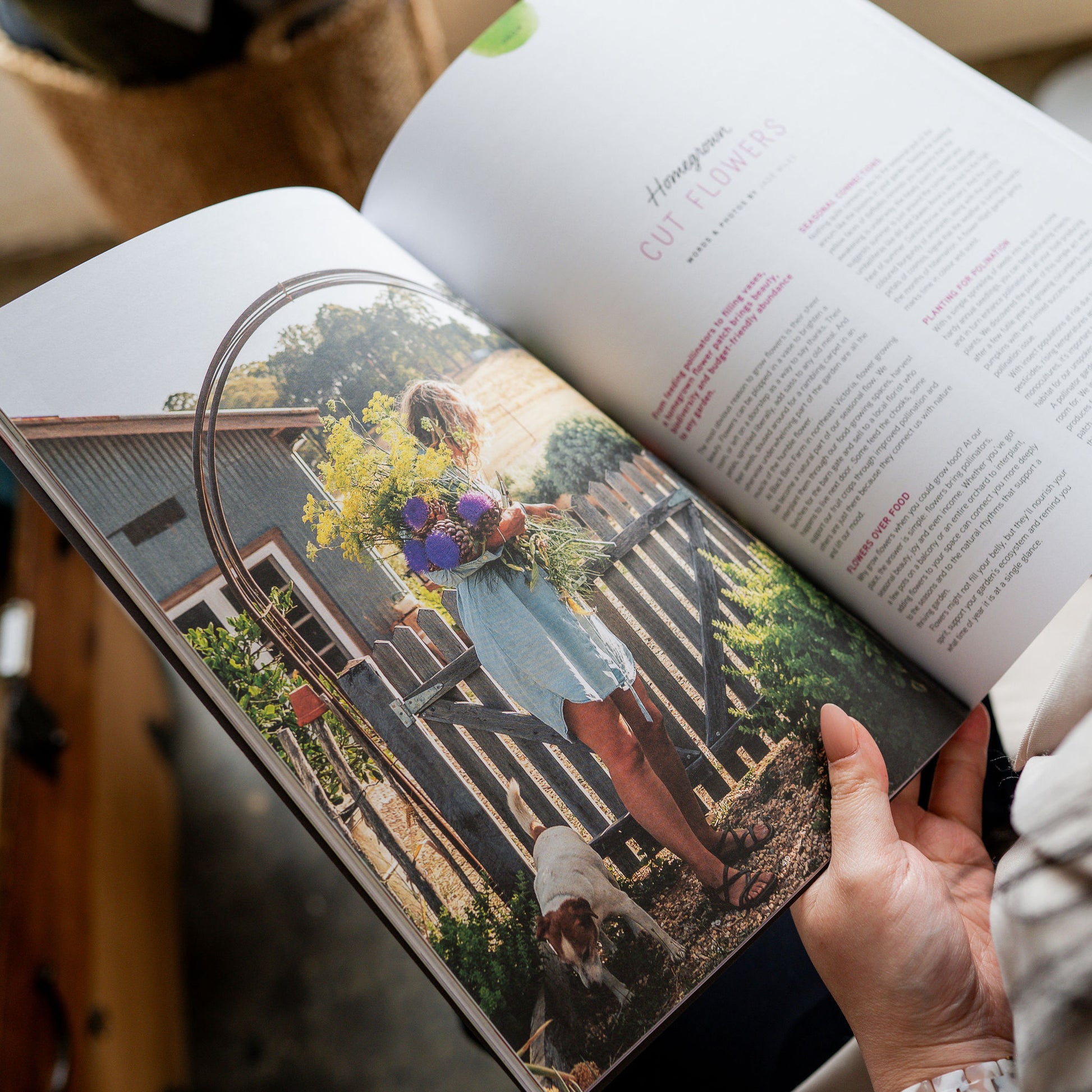 Pip Magazine Issue 37 | Pip Magazine | Miss Arthur | Home Goods | Tasmania