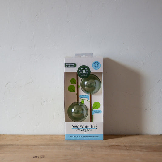 We The Wild Self-Watering Plant Globes | We The Wild | Miss Arthur | Home Goods | Tasmania