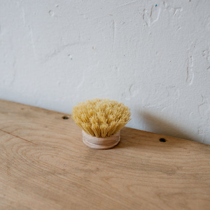 Dish Brush Replacement Head Small | Heaven in Earth | Miss Arthur | Home Goods | Tasmania