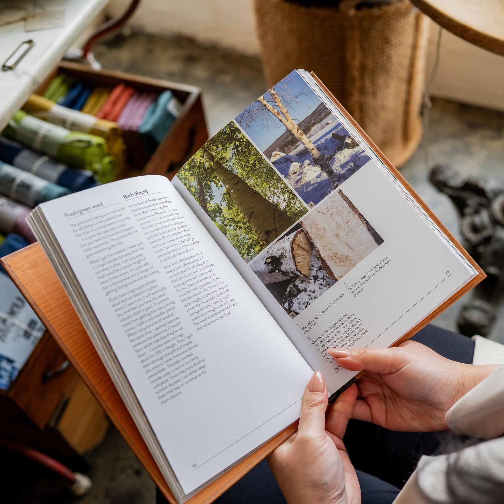 Art of Whittling | Brumby Sunstate | Miss Arthur | Home Goods | Tasmania
