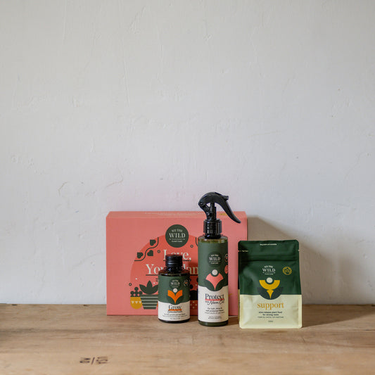 We The Wild Essential Plant Care Gift Box