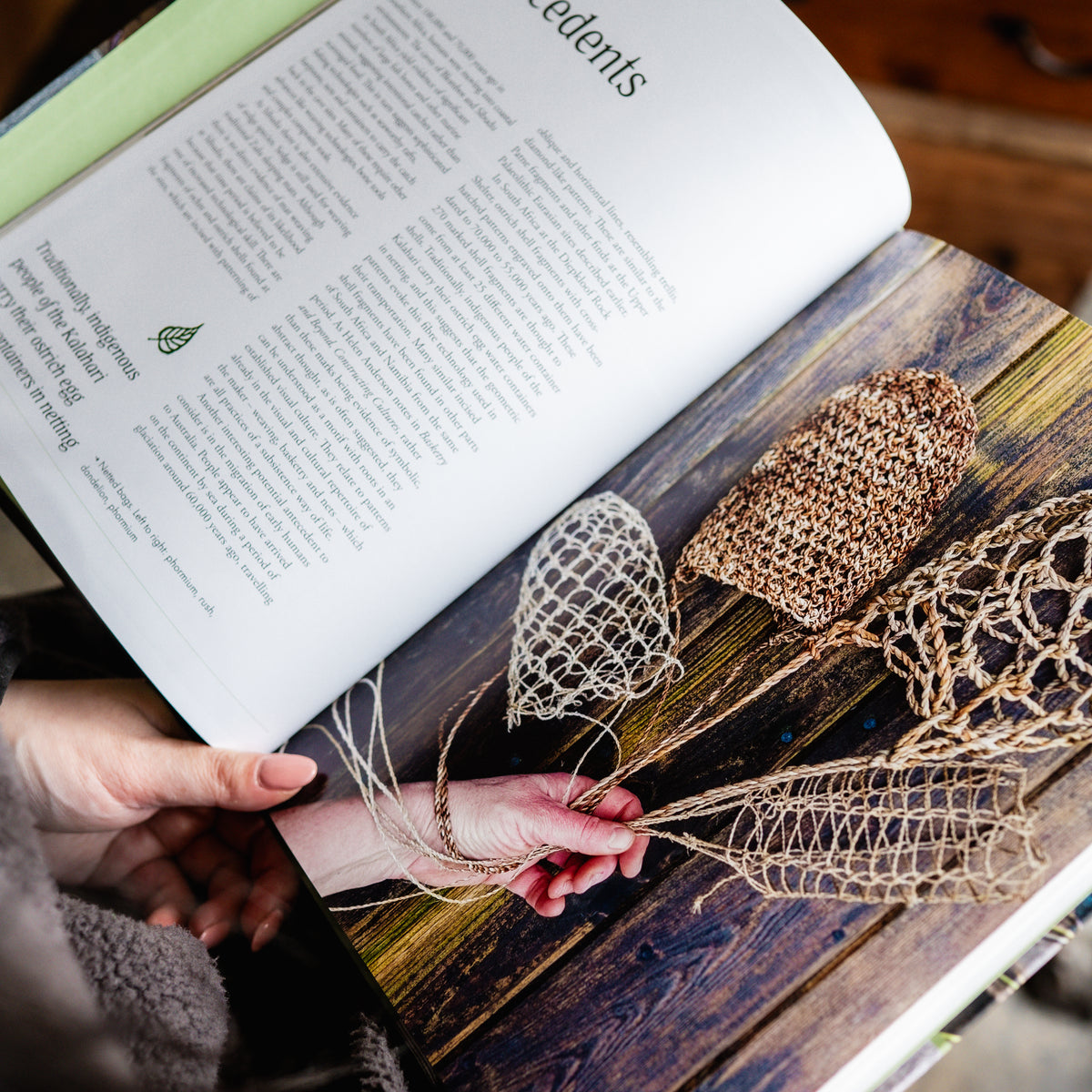 Wild Basketry: Making Baskets and Natural Cordage From Foraged Plants