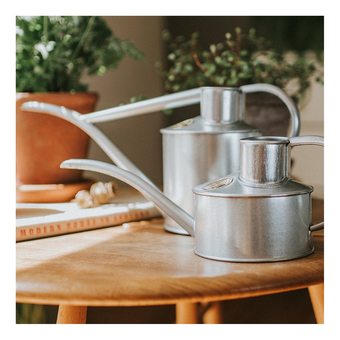 0.5 Litre Galvanised Watering Pot | Haws | Miss Arthur | Home Goods | Tasmania