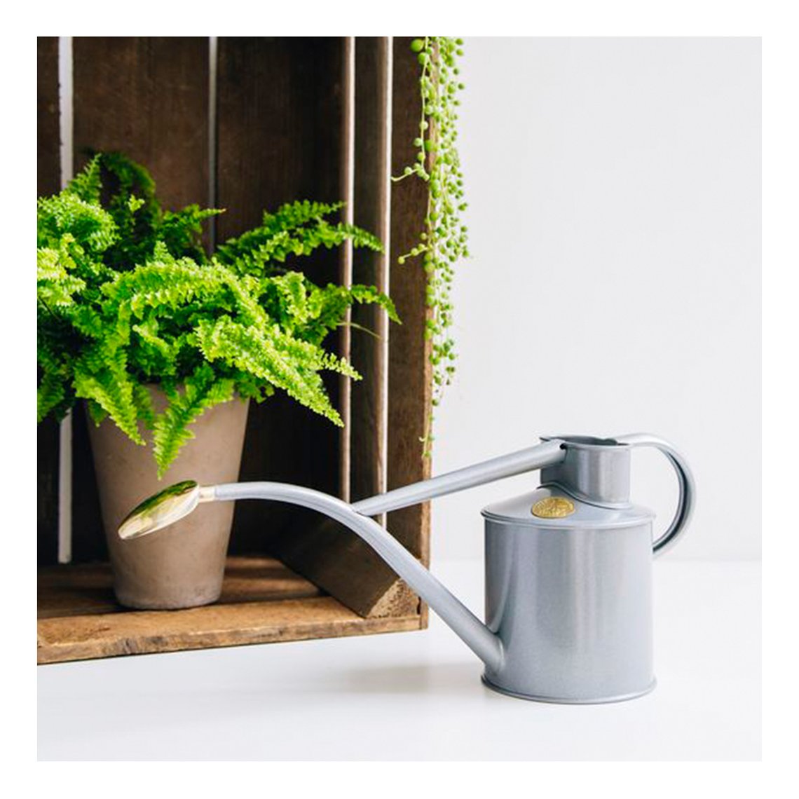Haws Rowley Ripple 1 Litre  Galvanised Can | Haws | Miss Arthur | Home Goods | Tasmania