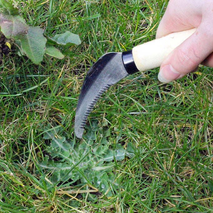 Burgon & Ball Lawn Weeding Knife | Burgon & Ball | Miss Arthur | Home Goods | Tasmania