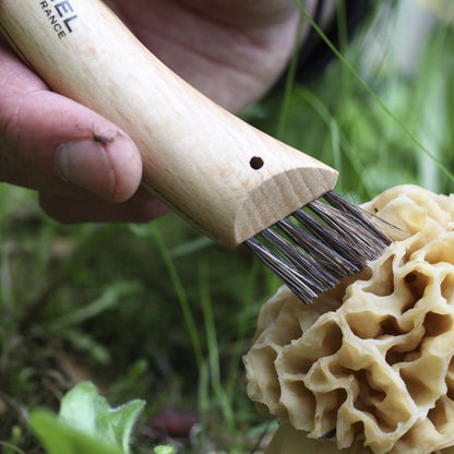 Opinel No.8 Mushroom Knife with Brush | Opinel | Miss Arthur | Home Goods | Tasmania