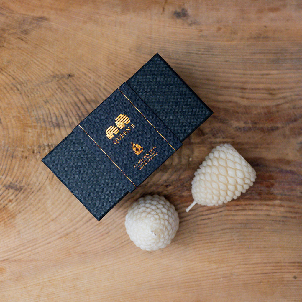 Queen B Black Label Large Pine Cones | Queen B | Miss Arthur | Home Goods | Tasmania