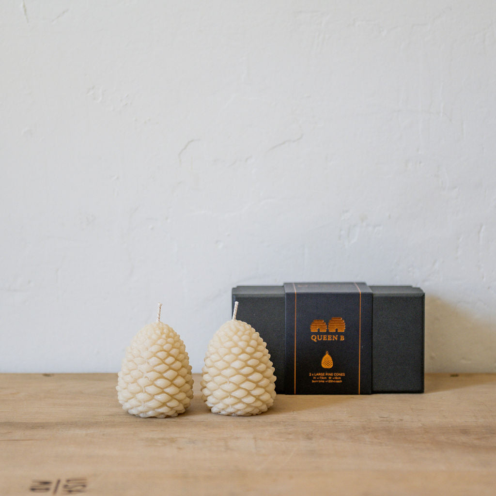 Queen B Black Label Large Pine Cones | Queen B | Miss Arthur | Home Goods | Tasmania