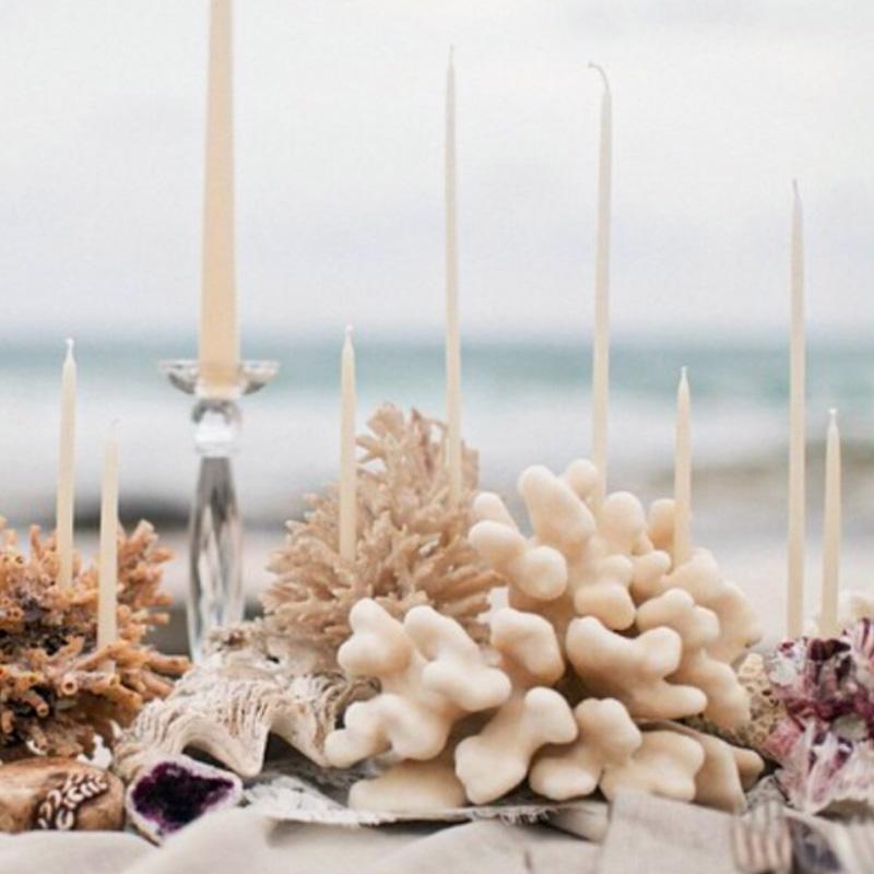 Black Label - Bee Lights | Queen B | Miss Arthur | Home Goods | Tasmania