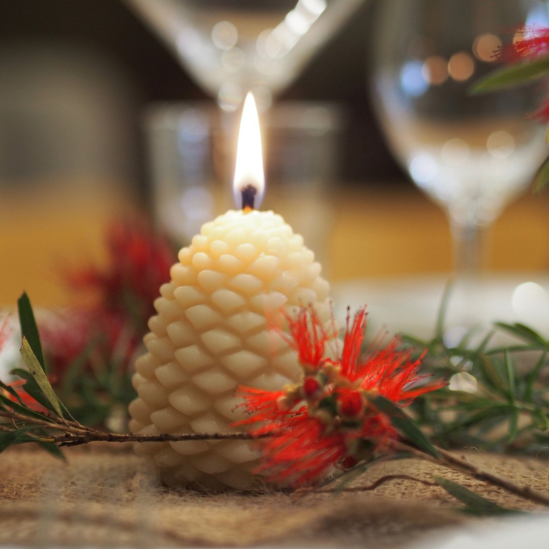 Queen B Black Label Large Pine Cones | Queen B | Miss Arthur | Home Goods | Tasmania
