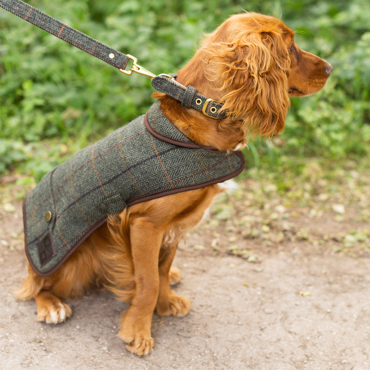 Tweedmill Textiles Tweed Dog Coat Green/Brown Large | Tweedmill Textiles | Miss Arthur | Home Goods | Tasmania