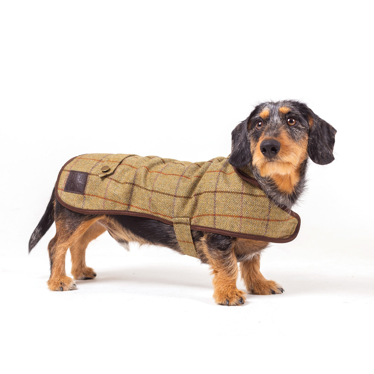 Tweed Dog Coat Khaki Medium | Tweedmill Textiles | Miss Arthur | Home Goods | Tasmania