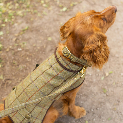Tweedmill Textiles Tweed Dog Coat Khaki X- Small | Tweedmill Textiles | Miss Arthur | Home Goods | Tasmania